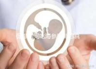 促排期間吃海參對卵泡真管用，不想取卵空泡找上門快做攻略