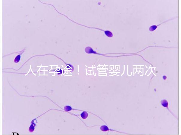 人在孕途！試管嬰兒兩次胎停育,了解這幾招能降低流產(chǎn)風(fēng)險(xiǎn)