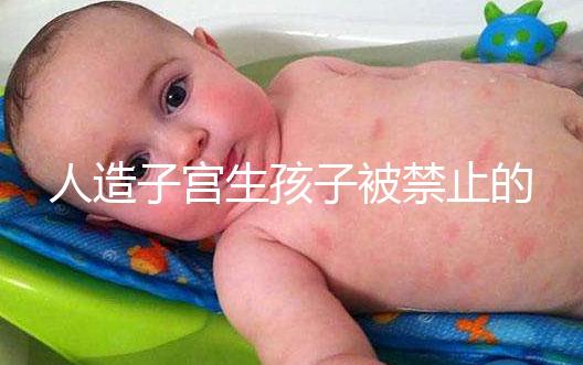 人造子宮生孩子被禁止的原因有三，會(huì)不會(huì)被允許未成定論