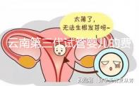 云南第三代試管嬰兒的費用是多少？如何選擇可靠的醫(yī)院？這篇文章的策略已經(jīng)為你做好了