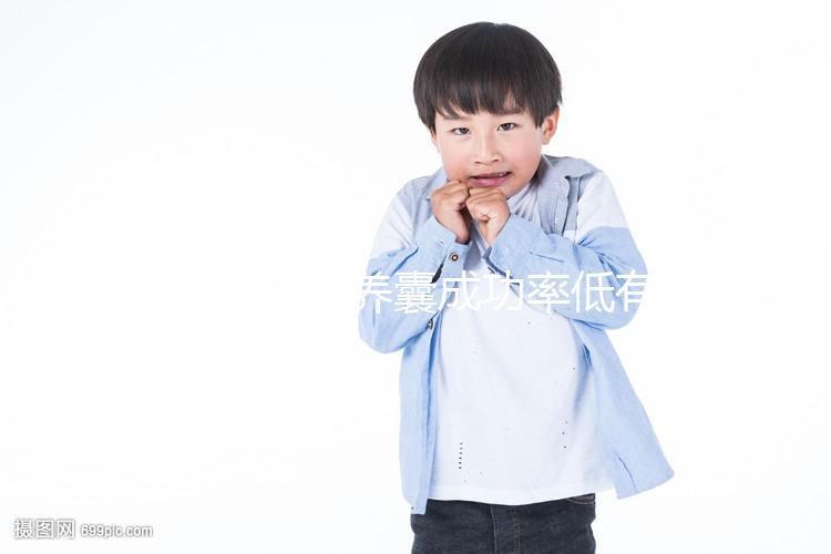 二代試管養(yǎng)囊成功率低有原因,禍首罪魁或是胚胎質(zhì)量