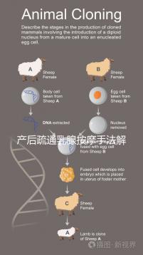 產后疏通乳腺按摩手法解密，不用吸奶器輕松搞定堵奶、奶結