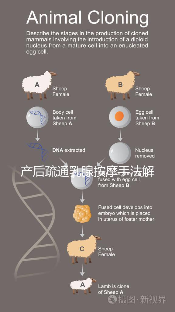產后疏通乳腺按摩手法解密，不用吸奶器輕松搞定堵奶、奶結