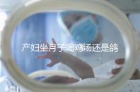 產(chǎn)婦坐月子喝雞湯還是鴿子湯？3個方面對比分析