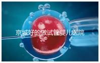 京城好的做試管嬰兒醫(yī)院（北京最出名試管醫(yī)院）