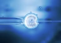 偉澤輔助生育中心:香港一站式試管嬰兒服務(wù)醫(yī)院