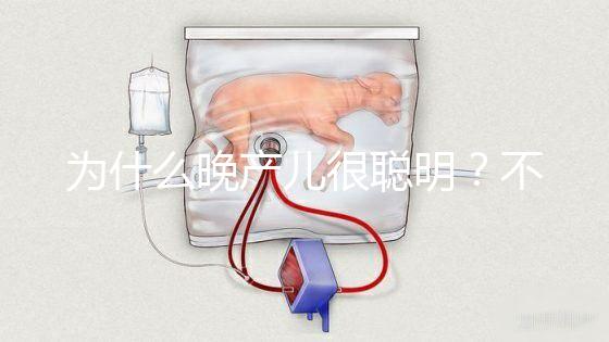 為什么晚產(chǎn)兒很聰明？不要被智商比同齡人高誤導(dǎo)