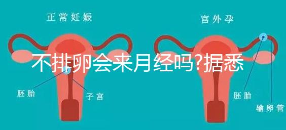 不排卵會(huì)來月經(jīng)嗎?據(jù)悉并不會(huì)推遲