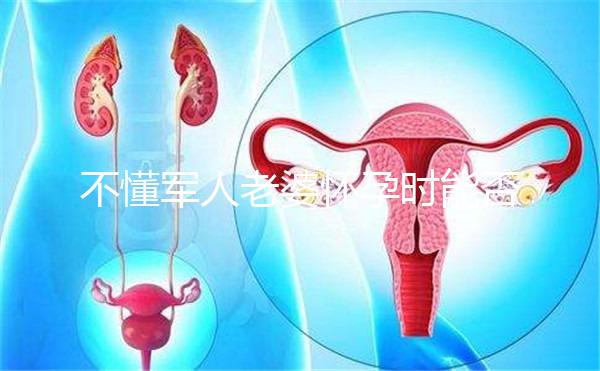 不懂軍人老婆懷孕時(shí)能否休陪護(hù)假快收藏,異地最高15天