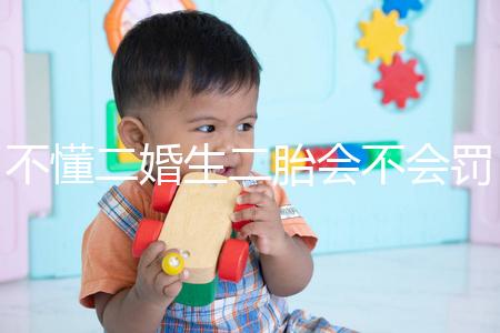 不懂二婚生二胎會不會罰款速覽,專家:千萬別超這個數(shù)量