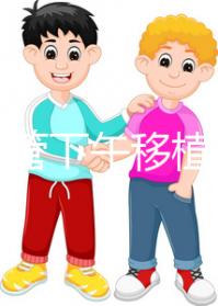 不懂試管下午移植上午要不要請(qǐng)假速覽，何時(shí)開始一看便知