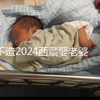 不造2024西藏娶老婆彩禮多少？日喀則、拉薩標準不同戳