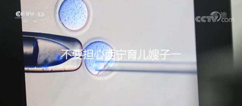 不要擔(dān)心西寧育兒嫂子一個(gè)月多少錢(qián)，關(guān)心機(jī)構(gòu)是否正式