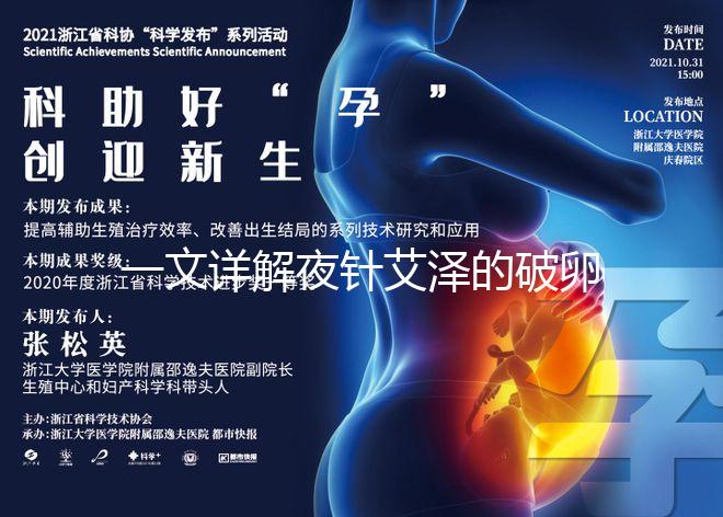 一文詳解夜針艾澤的破卵成功率,60s弄清跟絨促誰更高