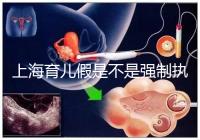 上海育兒假是不是強制執(zhí)行已明確，2024虹口區(qū)何時執(zhí)行戳