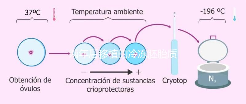 兩年后移植的冷凍胚胎質量差會怎么樣？有效的解決方案