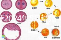 推薦2024年5月結婚的良辰吉日，最吉利的要數(shù)…