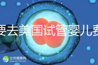 想要去美國試管嬰兒費用要花多少錢？2025年費用明細！