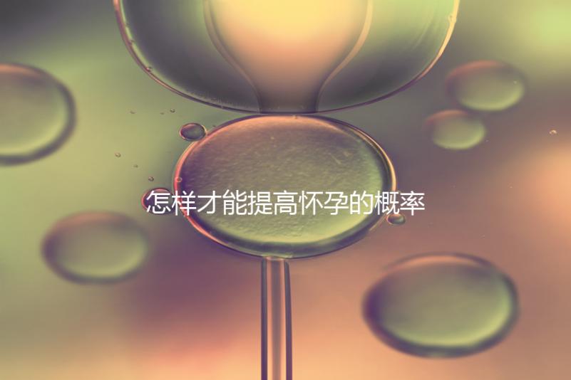 怎樣才能提高懷孕的概率？