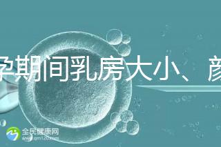 懷孕期間乳房大小、顏色變化有區別，男寶女寶這樣看