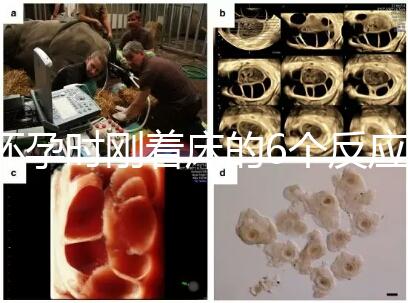 懷孕時剛著床的6個反應，同房后這個時候觀察身體最準