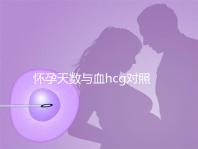 懷孕天數(shù)與血hcg對(duì)照表參考，孕早期排除病理性生化妊娠