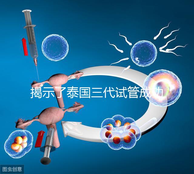 揭示了泰國三代試管成功率高的原因,以及優(yōu)秀的技術(shù) 完美結(jié)合全方位服務
