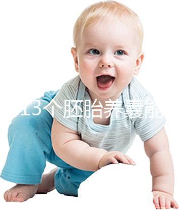 揭秘13個胚胎養囊能養成幾個，別以為6個著床幾率就高