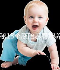 揭秘13個胚胎養囊能養成幾個，別以為6個著床幾率就高