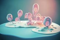 成都早教中心費用表來襲，2024年哪個便宜？