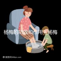 楊梅的功效和作用（楊梅的功效和作用禁忌 營養(yǎng)價(jià)值）