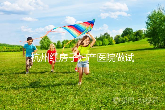 杭州紅房子婦產(chǎn)醫(yī)院做試管嬰兒需要多少錢?2025試管價目表曝光(含檢查、促排、移植全流程費(fèi)用明細(xì))