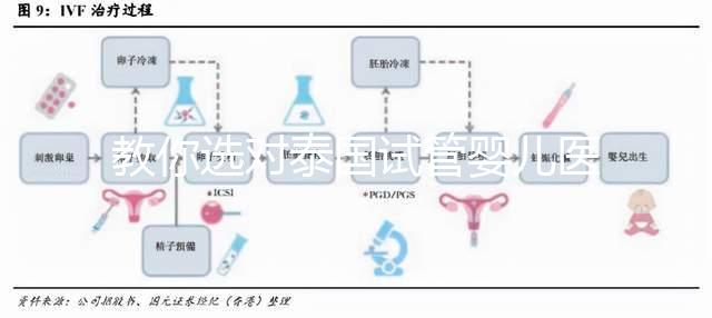 教你選對泰國試管嬰兒醫院，ALL IVF、杰特寧原來是這么回事