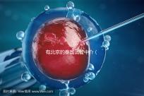 有北京的泰國試管中介（有北京的泰國試管中介公司嗎）