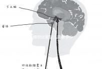 未婚做試管嬰兒需要多少錢？公立醫(yī)院費(fèi)用大概在3-12萬