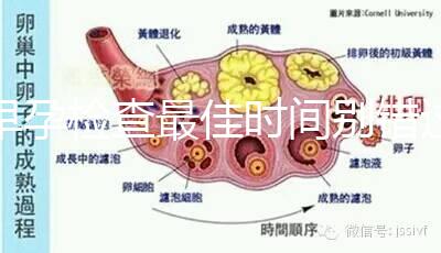 早孕檢查最佳時間別錯過，事關(guān)寶寶健康不可馬虎大意