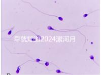 早就知道2024漯河月子中心的價(jià)格表了！媽咪悅只需要這個(gè)數(shù)字