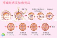 昆明盤龍區落戶親子鑒定在哪里看這，2024流程、費用都有