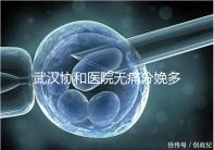 武漢協(xié)和醫(yī)院無痛分娩多少錢答案在這，住院一天費(fèi)用不高