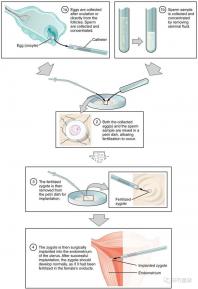 武漢四維彩超費用表整理，內附市婦保院超全預約攻略