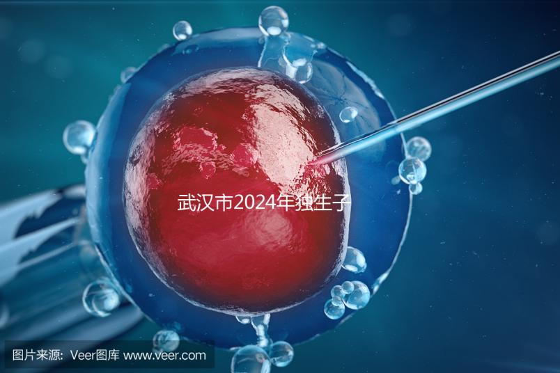 武漢市2024年獨生子女補貼政策已經實施，領取流程更加規范