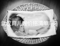 武漢育兒嫂價格清單，2024年橋口等正規機構不要錯過