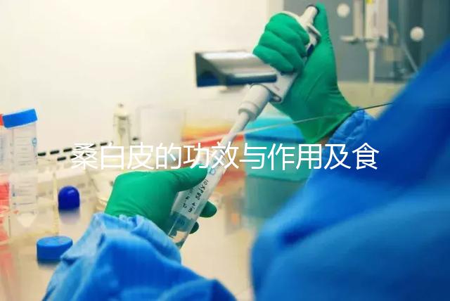 桑白皮的功效與作用及食用方法(桑白皮的最佳配伍)