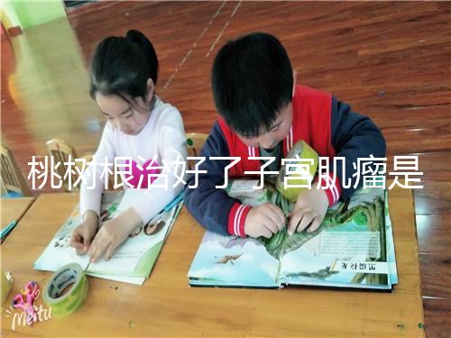 桃樹(shù)根治好了子宮肌瘤是謠言?和豬肉一起吃效果真不賴(lài)