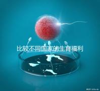 比較不同國家的生育福利｜生孩子還能拿到錢嗎？