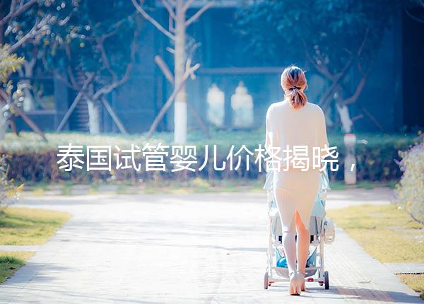 泰國(guó)試管嬰兒價(jià)格揭曉,來看看需要準(zhǔn)備多少錢