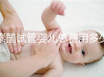 泰國試管嬰兒總費用多少(泰國試管嬰兒總費用多少錢)