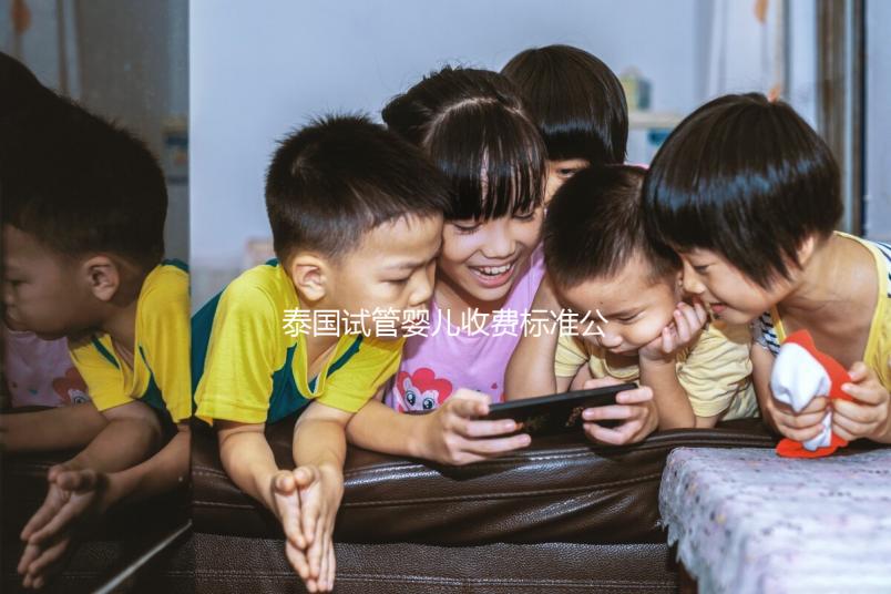 泰國試管嬰兒收費標準公布，藥品費用占大多數