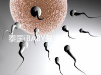 泰國iBABY愛寶貝：中介不輕信，甄別試管嬰兒真假宣傳