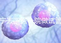 海寧去浙醫一院做試管嬰兒費用多少？成功率高嗎？